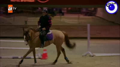 La Fuerza del Amor  //  Capítulo 09