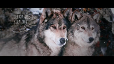 Relatos Selvagens $corp