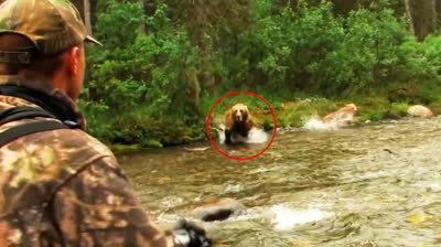 Tra le Unghie Infinite: Audace Confronto con un Grizzly