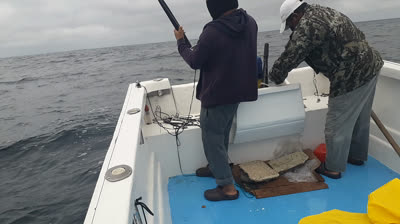 PESCA DE WAHOO ECUADOR