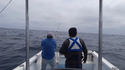 PESCA DE MARLIN RAYADO EN ECUADOR