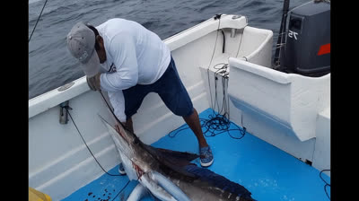 PESCA DE MARLIN EN ECUADOR VIDEO 2