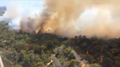 Devastador incendio forestal en Puerto Real, Cádiz: La lucha contra las llamas continúa