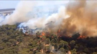 Puerto Real en peligro: El incendio forestal avanza sin tregua