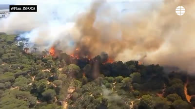 Solidaridad ante la adversidad: Puerto Real se une para enfrentar el incendio forestal