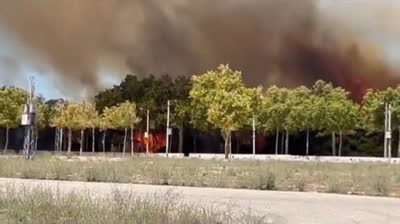 Alerta roja en Cádiz: Incendio forestal en Puerto Real provoca preocupación regional