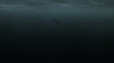 Vikingos T1 C1 (Español Latino)