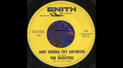 ROOSTERS (1968) - AINT GONNA CRY ANYMORE