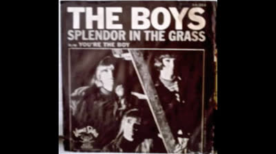 BOYS (1965) - SPLENDOR IN THE GRASS