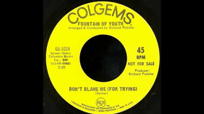 FOUNTAIN OF YOUTH (1967) - DON'T BLAME ME (FOR TRYING)