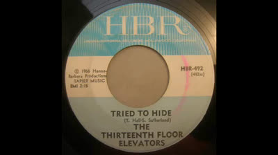 Thirteenth Floor Elevators (1966) - Tried To Hide