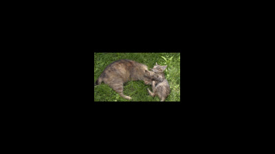 Mi Pequeño Angel de Amor