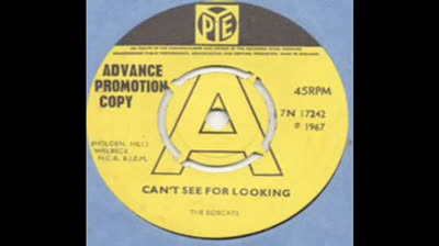 Bobcats (1967) - Can't See For Looking